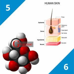 NIVEAU 2 : Introduction à la dermopharmacie et cosmétologie